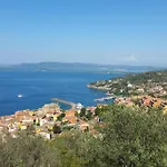 Cormorano